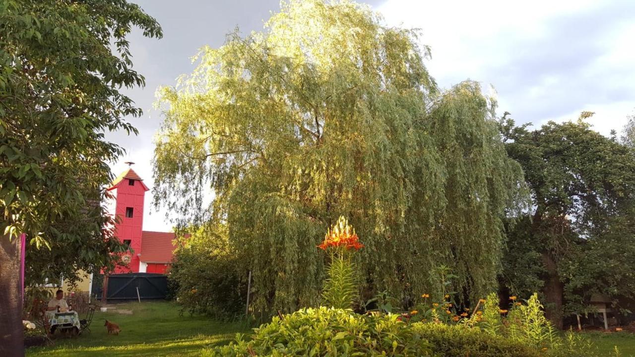 Storchenhof Lejlighed Schmogrow Eksteriør billede
