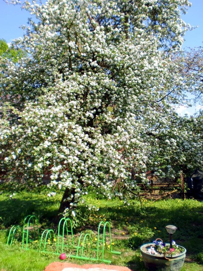 Storchenhof Lejlighed Schmogrow Eksteriør billede